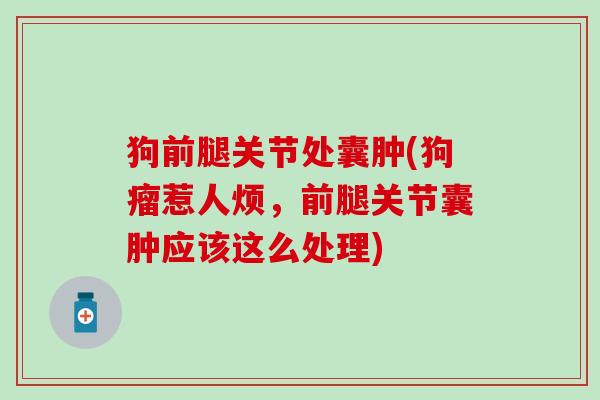 狗前腿关节处囊肿(狗瘤惹人烦，前腿关节囊肿应该这么处理)