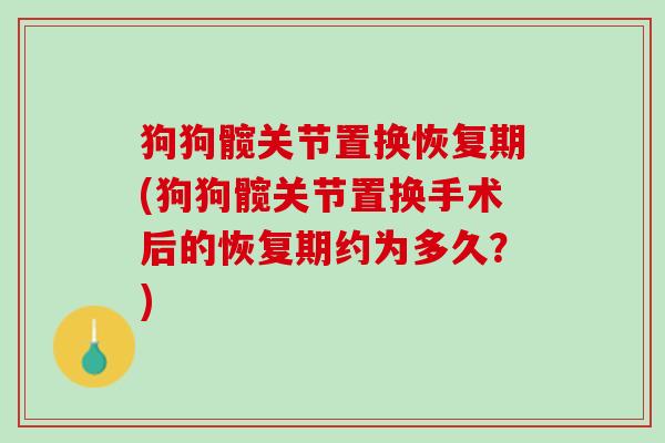 狗狗髋关节置换恢复期(狗狗髋关节置换手术后的恢复期约为多久？)