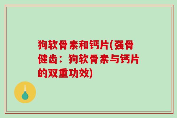 狗软骨素和钙片(强骨健齿：狗软骨素与钙片的双重功效)