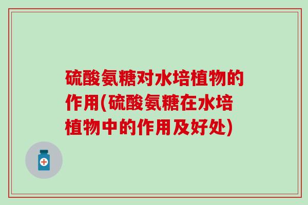 硫酸氨糖对水培植物的作用(硫酸氨糖在水培植物中的作用及好处)