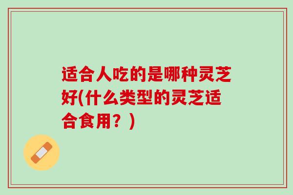 适合人吃的是哪种灵芝好(什么类型的灵芝适合食用？)