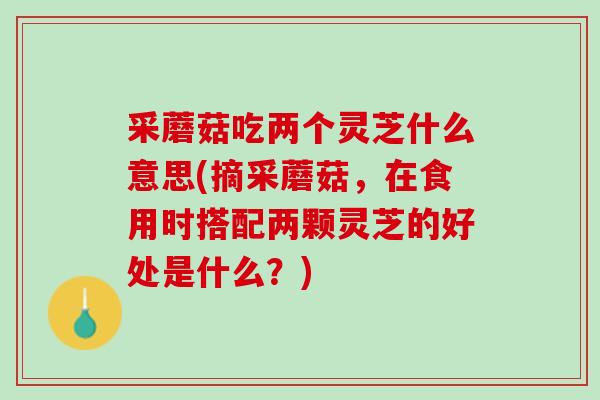 采蘑菇吃两个灵芝什么意思(摘采蘑菇，在食用时搭配两颗灵芝的好处是什么？)