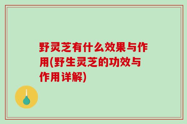 野灵芝有什么效果与作用(野生灵芝的功效与作用详解)