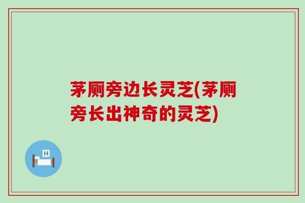 茅厕旁边长灵芝(茅厕旁长出神奇的灵芝)