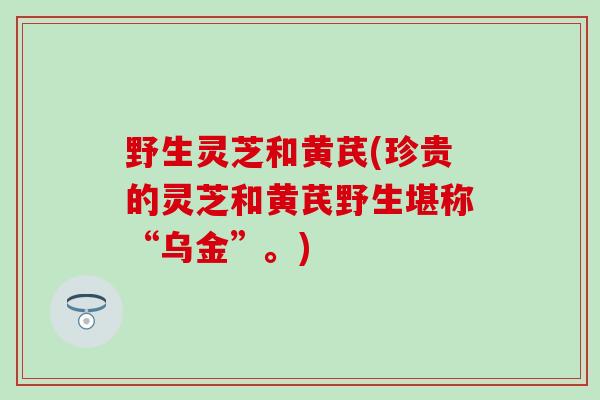 野生灵芝和黄芪(珍贵的灵芝和黄芪野生堪称“乌金”。)