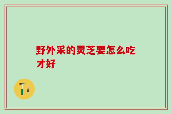 野外采的灵芝要怎么吃才好