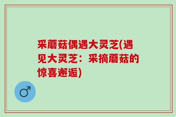 采蘑菇偶遇大灵芝(遇见大灵芝：采摘蘑菇的惊喜邂逅)