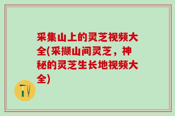 采集山上的灵芝视频大全(采撷山间灵芝，神秘的灵芝生长地视频大全)