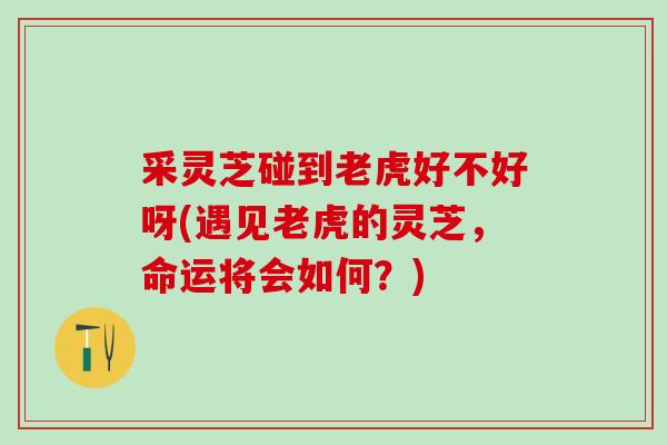 采灵芝碰到老虎好不好呀(遇见老虎的灵芝，命运将会如何？)