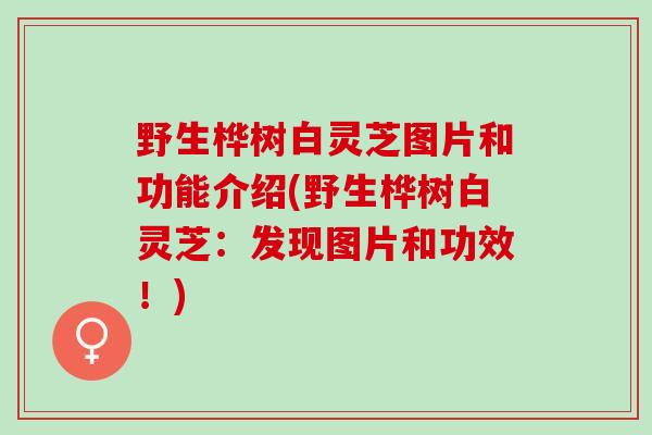 野生桦树白灵芝图片和功能介绍(野生桦树白灵芝：发现图片和功效！)