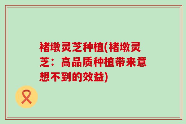 褚墩灵芝种植(褚墩灵芝:高品质种植带来意想不到的效益) 褚墩灵芝种植(褚墩灵芝:高品质种植带来意想不到的效益)