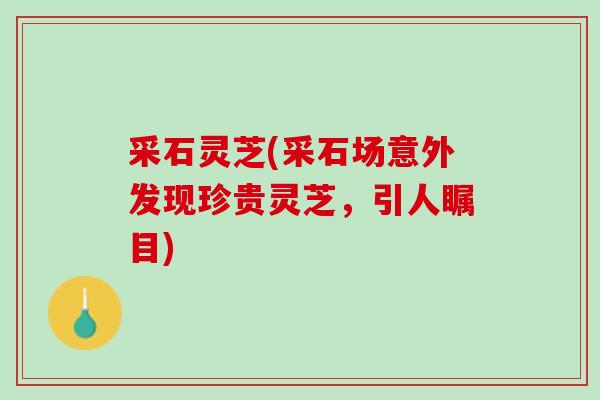 采石灵芝(采石场意外发现珍贵灵芝，引人瞩目)