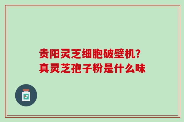 贵阳灵芝细胞破壁机？真灵芝孢子粉是什么味