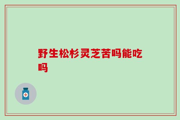 野生松杉灵芝苦吗能吃吗 野生松杉灵芝苦吗能吃吗