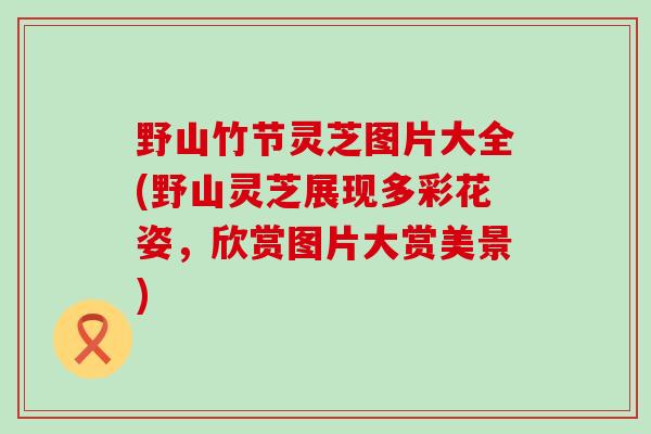 野山竹节灵芝图片大全(野山灵芝展现多彩花姿,欣赏图片大赏美景) 野山竹节灵芝图片大全(野山灵芝展现多彩花姿,欣赏图片大赏美景)