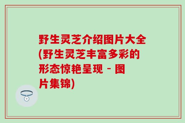 野生灵芝介绍图片大全(野生灵芝丰富多彩的形态惊艳呈现 - 图片集锦)