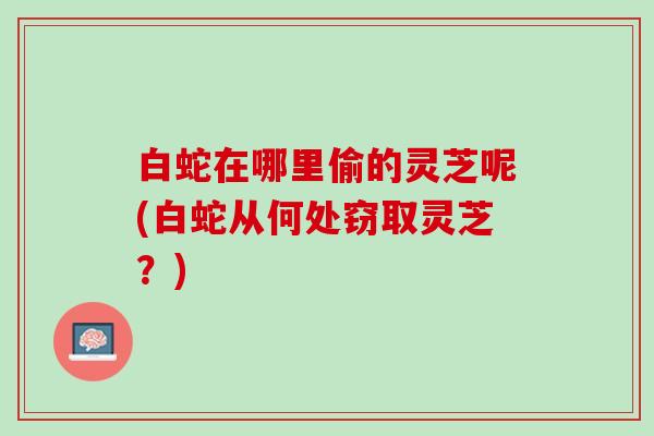 白蛇在哪里偷的灵芝呢(白蛇从何处窃取灵芝？)