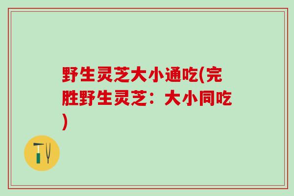 野生灵芝大小通吃(完胜野生灵芝：大小同吃)