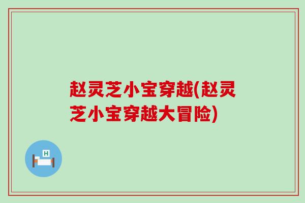 赵灵芝小宝穿越(赵灵芝小宝穿越大冒险)
