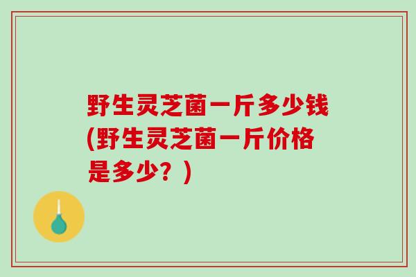 野生灵芝菌一斤多少钱(野生灵芝菌一斤价格是多少？)