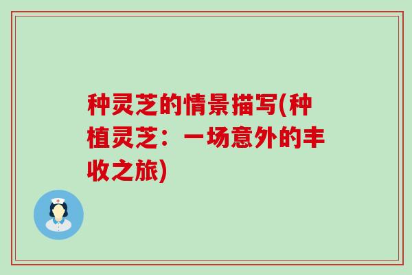 种灵芝的情景描写(种植灵芝：一场意外的丰收之旅)