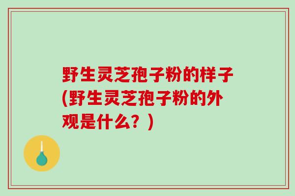 野生灵芝孢子粉的样子(野生灵芝孢子粉的外观是什么？)
