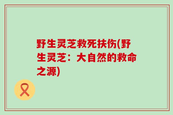 野生灵芝救死扶伤(野生灵芝：大自然的救命之源)