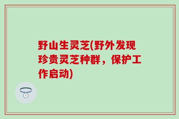 野山生灵芝(野外发现珍贵灵芝种群，保护工作启动)