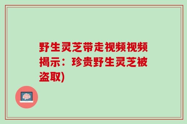 野生灵芝带走视频视频揭示：珍贵野生灵芝被盗取)