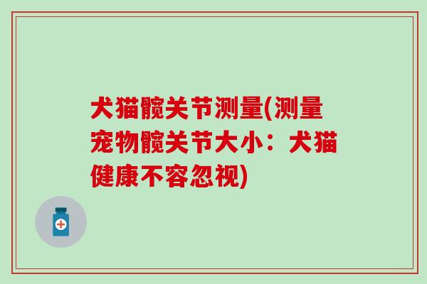 犬猫髋关节测量(测量宠物髋关节大小：犬猫健康不容忽视)