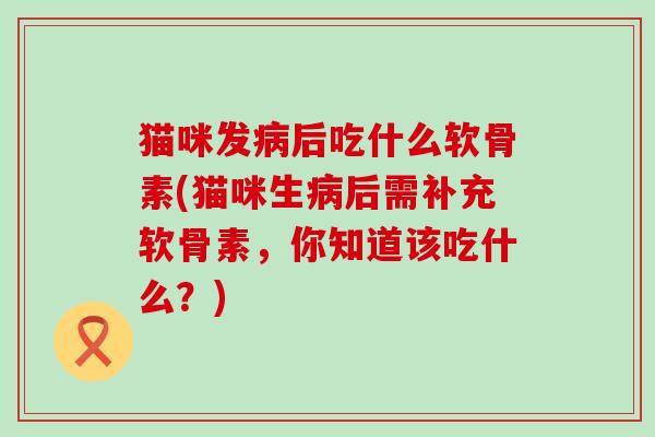 猫咪发病后吃什么软骨素(猫咪生病后需补充软骨素，你知道该吃什么？)