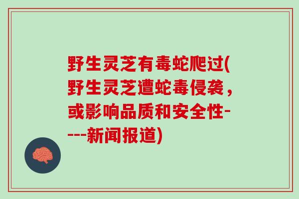野生灵芝有毒蛇爬过(野生灵芝遭蛇毒侵袭，或影响品质和安全性----新闻报道)
