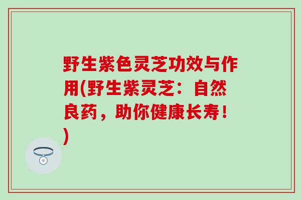 野生紫色灵芝功效与作用(野生紫灵芝：自然良药，助你健康长寿！)