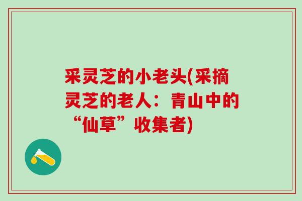 采灵芝的小老头(采摘灵芝的老人：青山中的“仙草”收集者)