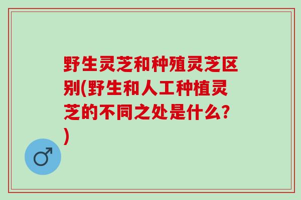 野生灵芝和种殖灵芝区别(野生和人工种植灵芝的不同之处是什么？)