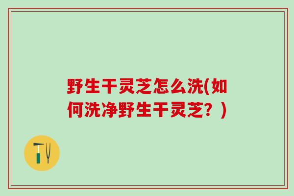 野生干灵芝怎么洗(如何洗净野生干灵芝？)