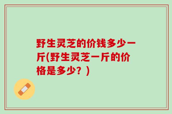 野生灵芝的价钱多少一斤(野生灵芝一斤的价格是多少？)