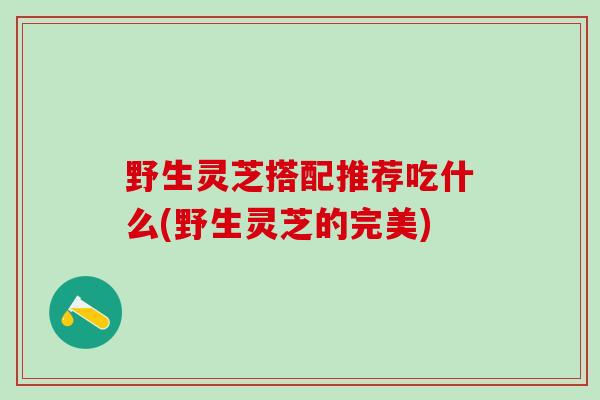 野生灵芝搭配推荐吃什么(野生灵芝的完美)