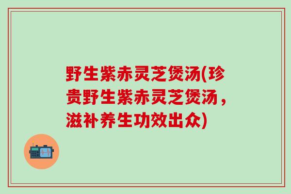 野生紫赤灵芝煲汤(珍贵野生紫赤灵芝煲汤，滋补养生功效出众)