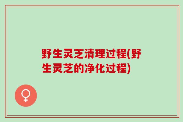 野生灵芝清理过程(野生灵芝的净化过程)