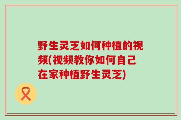 野生灵芝如何种植的视频(视频教你如何自己在家种植野生灵芝)