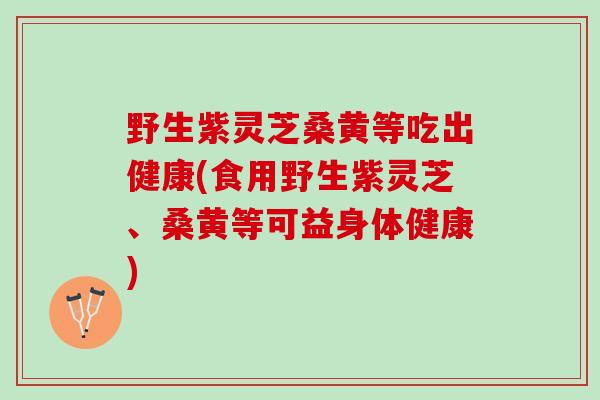 野生紫灵芝桑黄等吃出健康(食用野生紫灵芝、桑黄等可益身体健康)