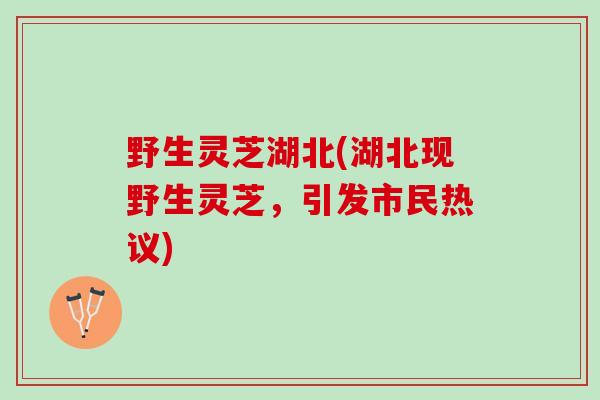 野生灵芝湖北(湖北现野生灵芝，引发市民热议)