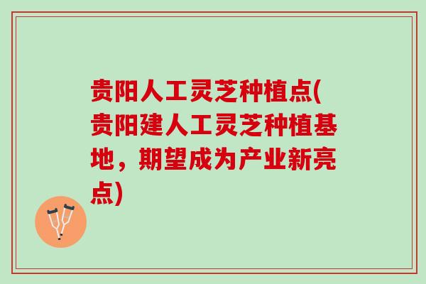 贵阳人工灵芝种植点(贵阳建人工灵芝种植基地，期望成为产业新亮点)