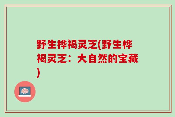 野生桦褐灵芝(野生桦褐灵芝：大自然的宝藏)