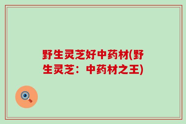 野生灵芝好中药材(野生灵芝：中药材之王)