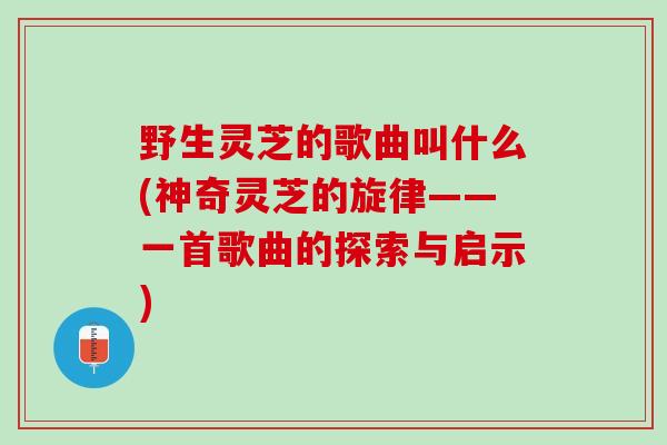 野生灵芝的歌曲叫什么(神奇灵芝的旋律——一首歌曲的探索与启示)