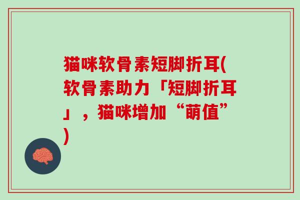 猫咪软骨素短脚折耳(软骨素助力「短脚折耳」，猫咪增加“萌值”)