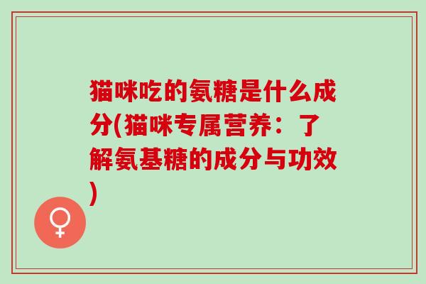 猫咪吃的氨糖是什么成分(猫咪专属营养：了解氨基糖的成分与功效)