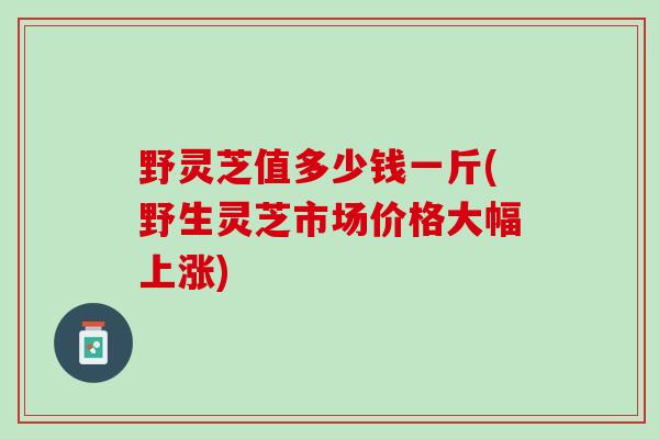 野灵芝值多少钱一斤(野生灵芝市场价格大幅上涨)